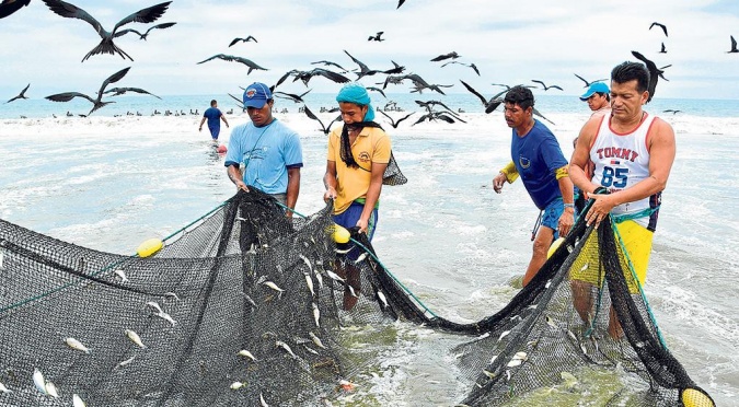 Luigi Benincasa: Europa amonesta a Ecuador por prácticas pesqueras ilegales