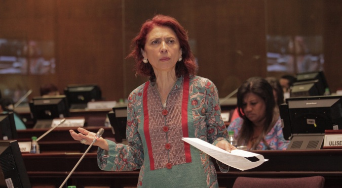 Ma. Augusta Calle: Proyecto de ley de Movilidad Humana no crea nuevas instituciones