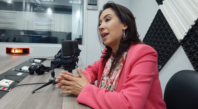 Gabriela Larreátegui: Proyecto económico urgente. 