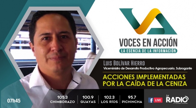 Luis Bolívar Hierro: Acciones implementadas por la caída de la ceniza