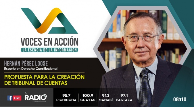 Hernán Pérez Loose: Propuesta para la creación del Tribunal de Cuentas