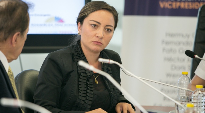 Entrevista asambleísta Ana Belén Marín