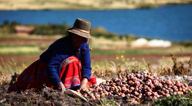 Alimentación y Agricultura Andina