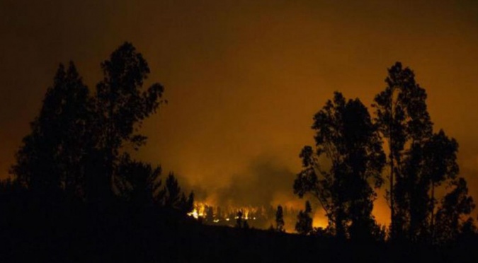 Chile: Fiscalización incendios forestales