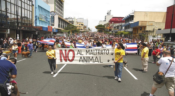Costa Rica: Ley contra maltrato animal