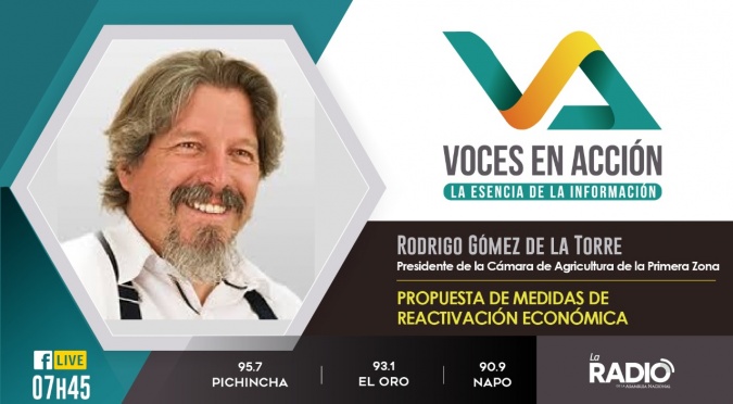 Rodrigo Gómez de la Torre: Propuesta de medidas de reactivación económica