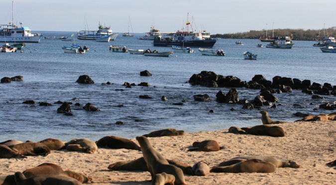 La Isla Santa Cruz en Galápagos