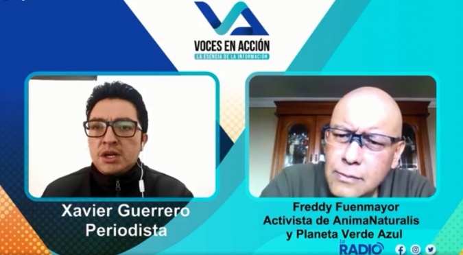 Freddy Fuenmayor: Resolución de la Corte Constitucional sobre las corridas de toros