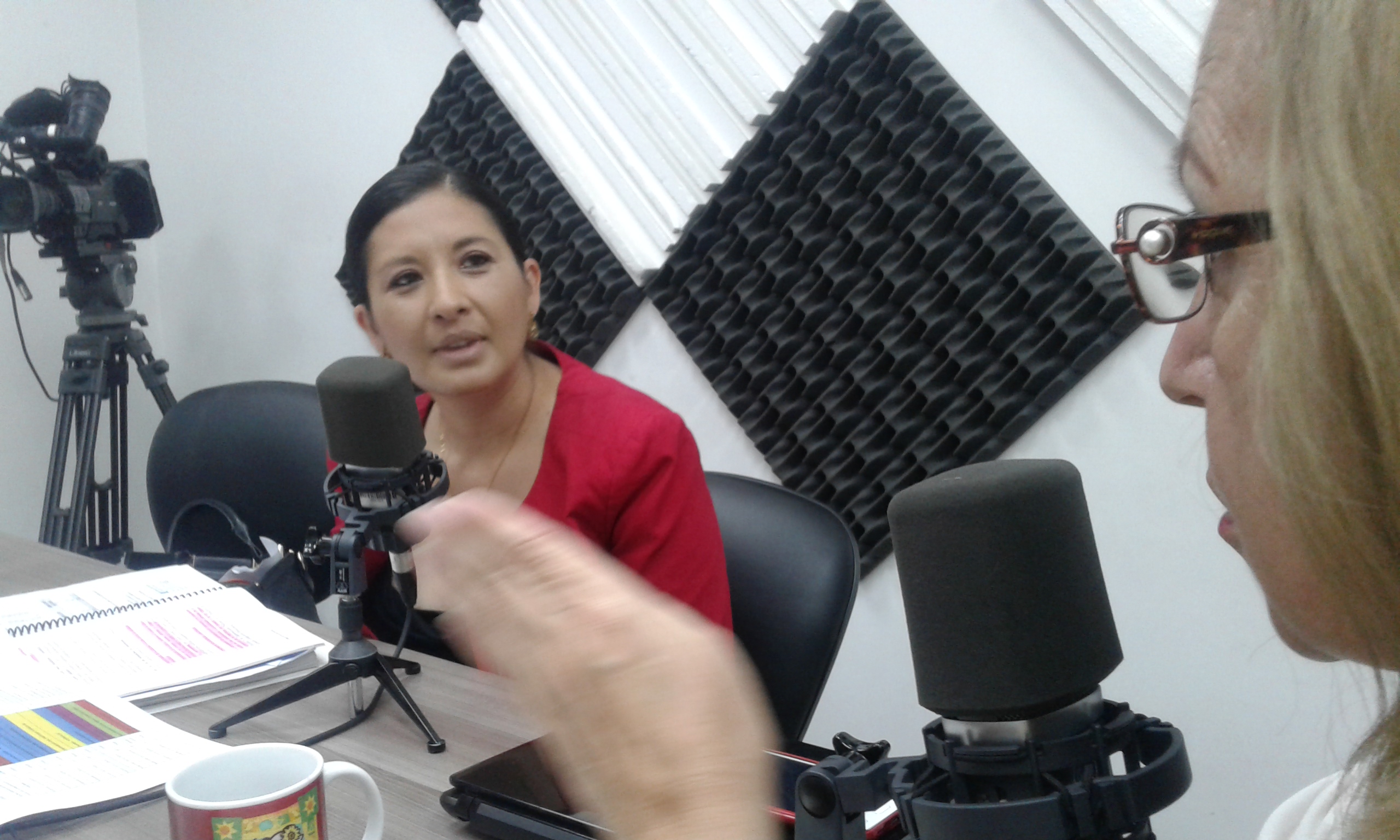 Mariela Segovia, presidenta de la Junta Provincial Electoral de Pichincha