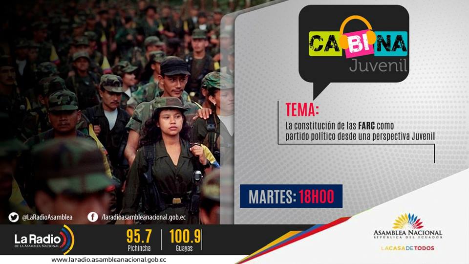 Las FARC como organización política 